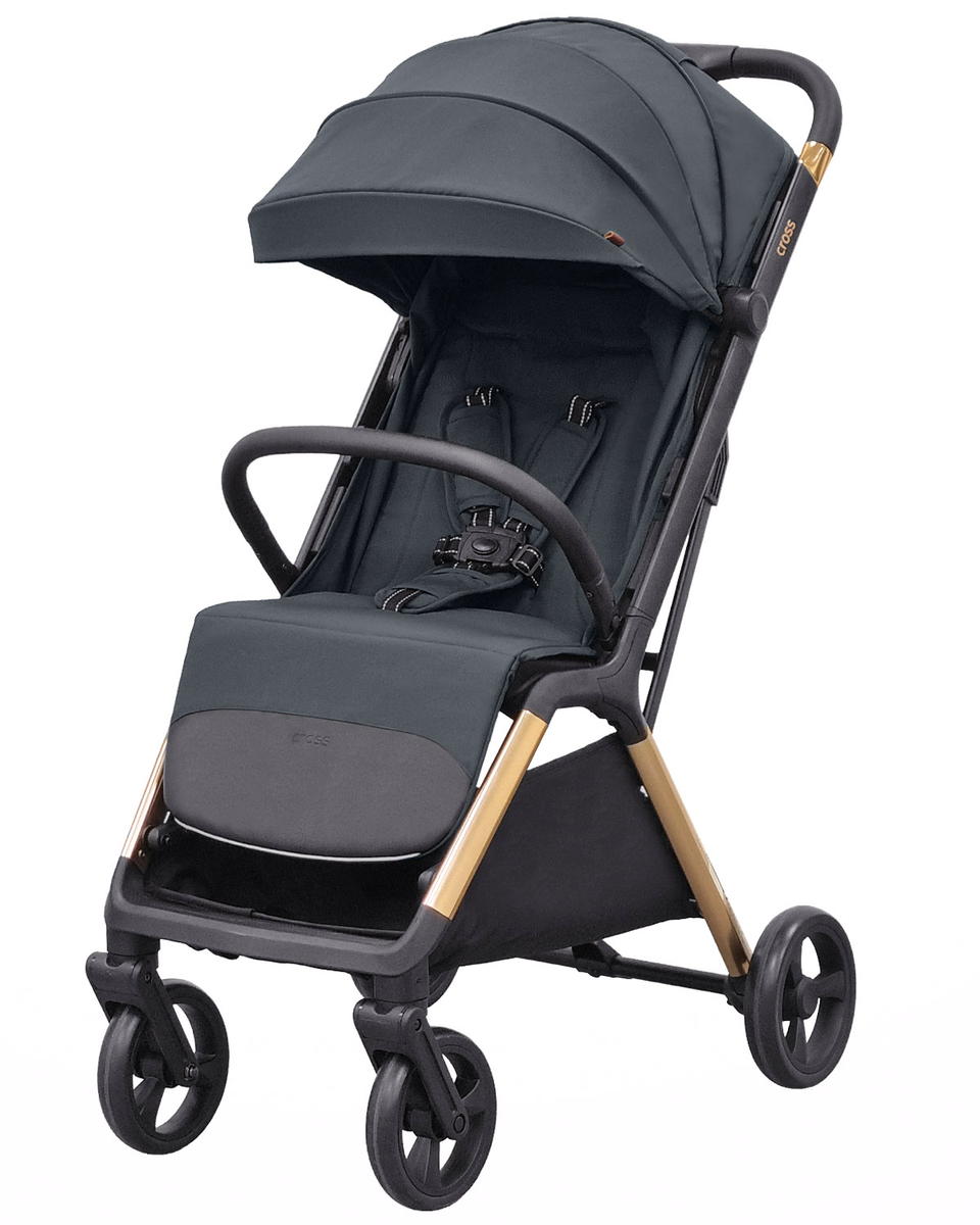 Прогулочная коляска Carrello Cross CRL-5523 Eagle Grey