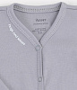 Arctic Grey