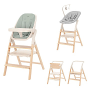 Стульчик для кормления Carrello Ergo CRL-16701 4 в 1 Elora Green