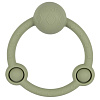 STR-01003 Шалфей