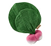 L-MINDOU-RADISH