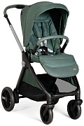Прогулочная коляска Chicco Bellagio Fir Tree