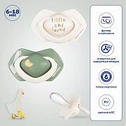 Пустышка силиконовая Canpol babies Goose симметричная 6-18 мес 2 шт, 22/668