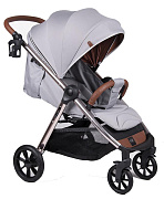 Детская прогулочная коляска Coletto Jazzy Rose Grey